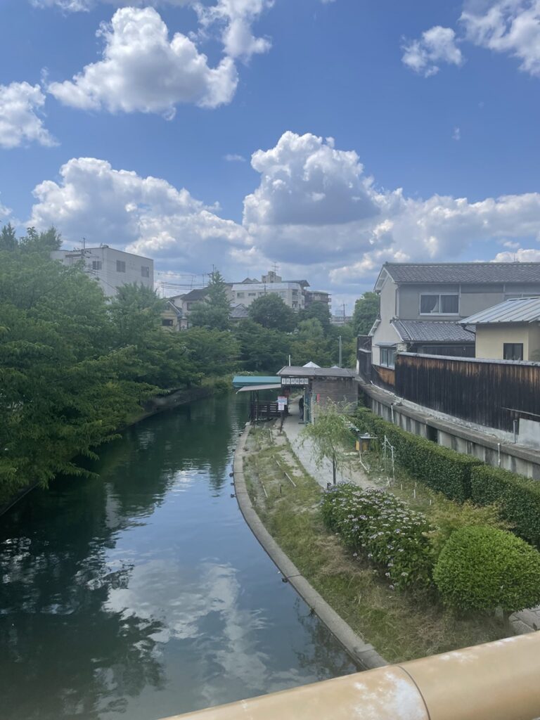 住宅地を流れる水路の風景