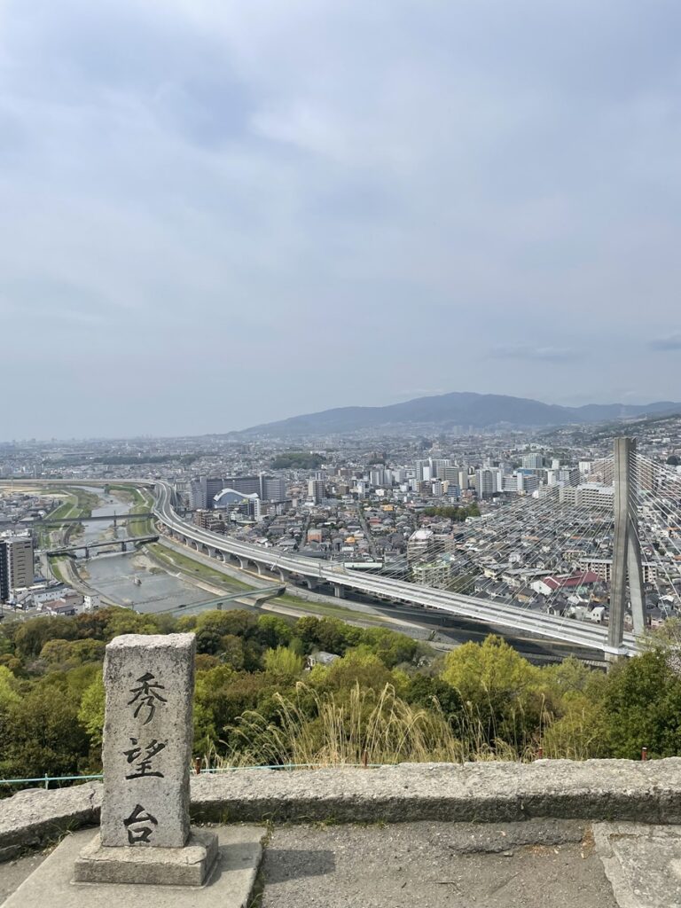 展望台から望む市街地と山並み