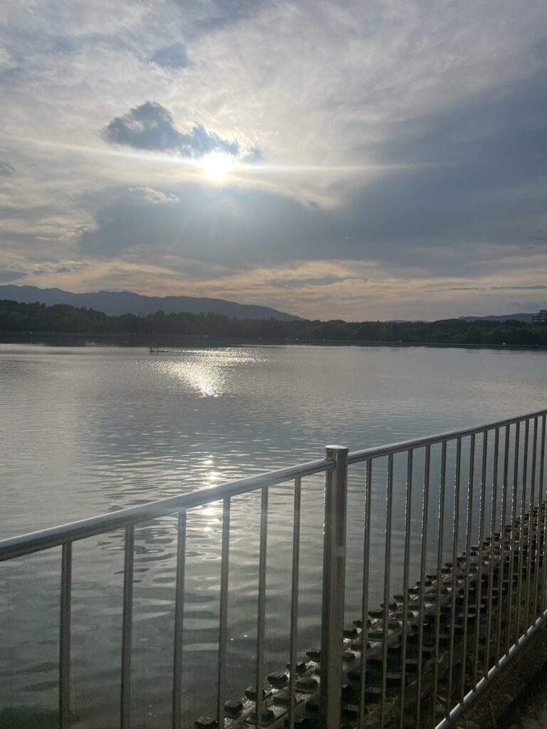夕日に照らされた池の風景