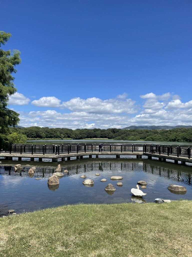 公園の池と青空の風景